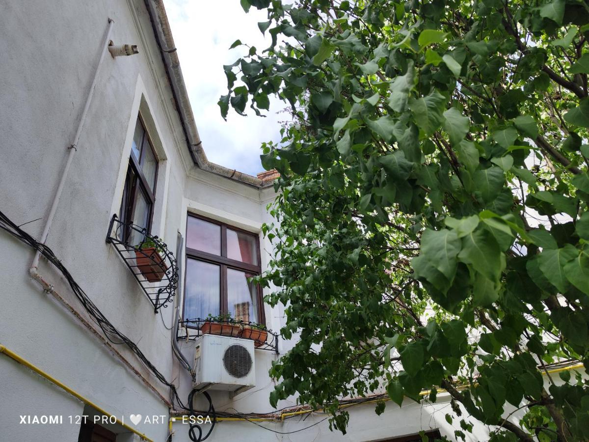 Apartament Buon Gusto,Near Main Square And Liar Bridge,Historical Side Of City Center Сибиу Экстерьер фото