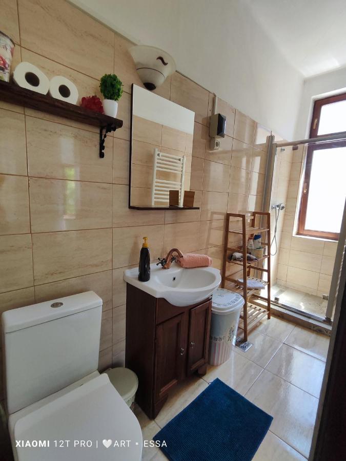 Apartament Buon Gusto,Near Main Square And Liar Bridge,Historical Side Of City Center Сибиу Экстерьер фото